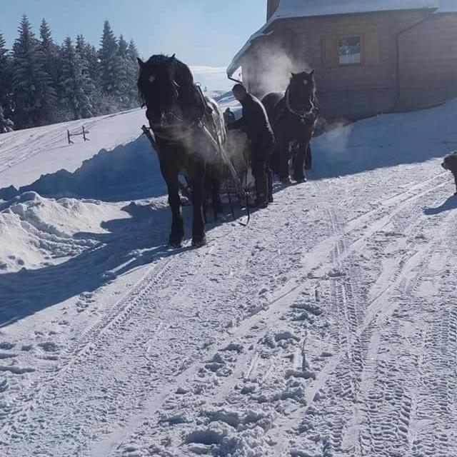 Gosciniec Dziubasowki Villa Nowy Targ Buitenkant foto