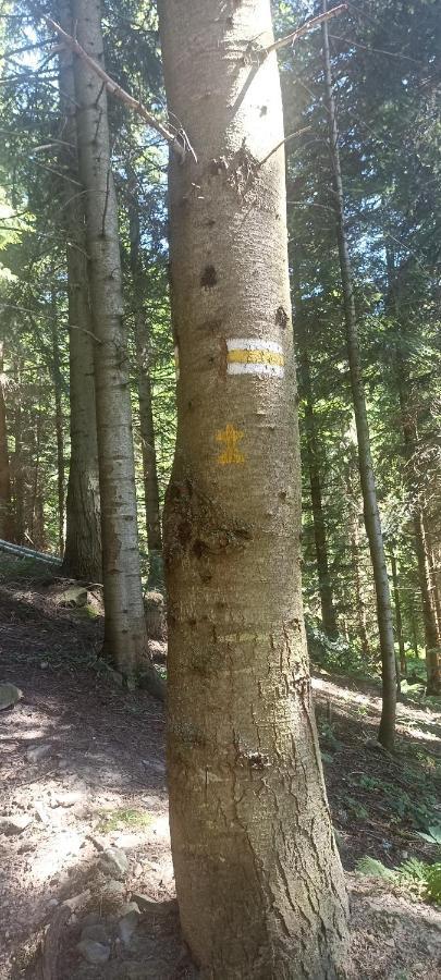 Gosciniec Dziubasowki Villa Nowy Targ Buitenkant foto