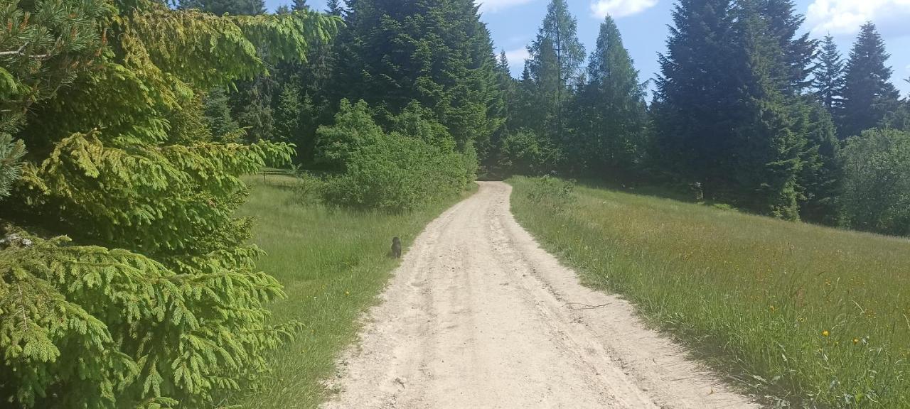 Gosciniec Dziubasowki Villa Nowy Targ Buitenkant foto