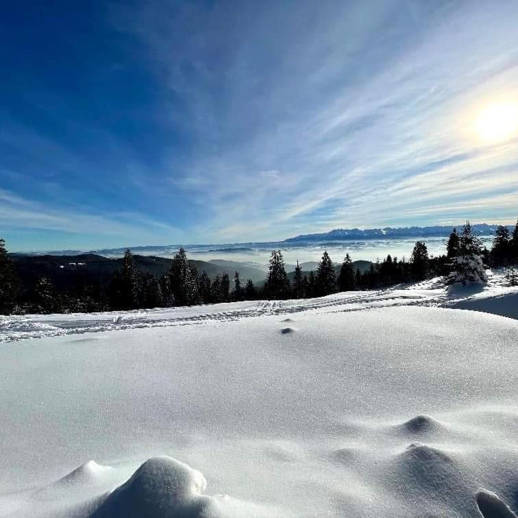 Gosciniec Dziubasowki Villa Nowy Targ Buitenkant foto
