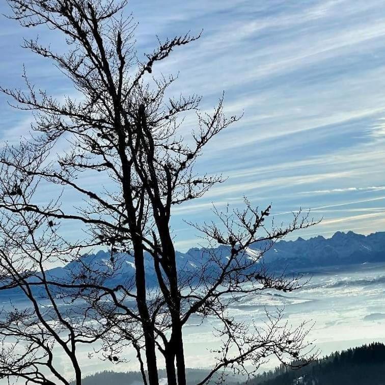 Gosciniec Dziubasowki Villa Nowy Targ Buitenkant foto