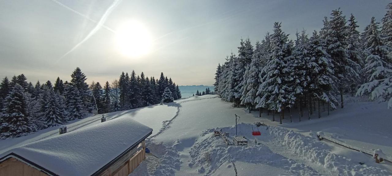 Gosciniec Dziubasowki Villa Nowy Targ Buitenkant foto