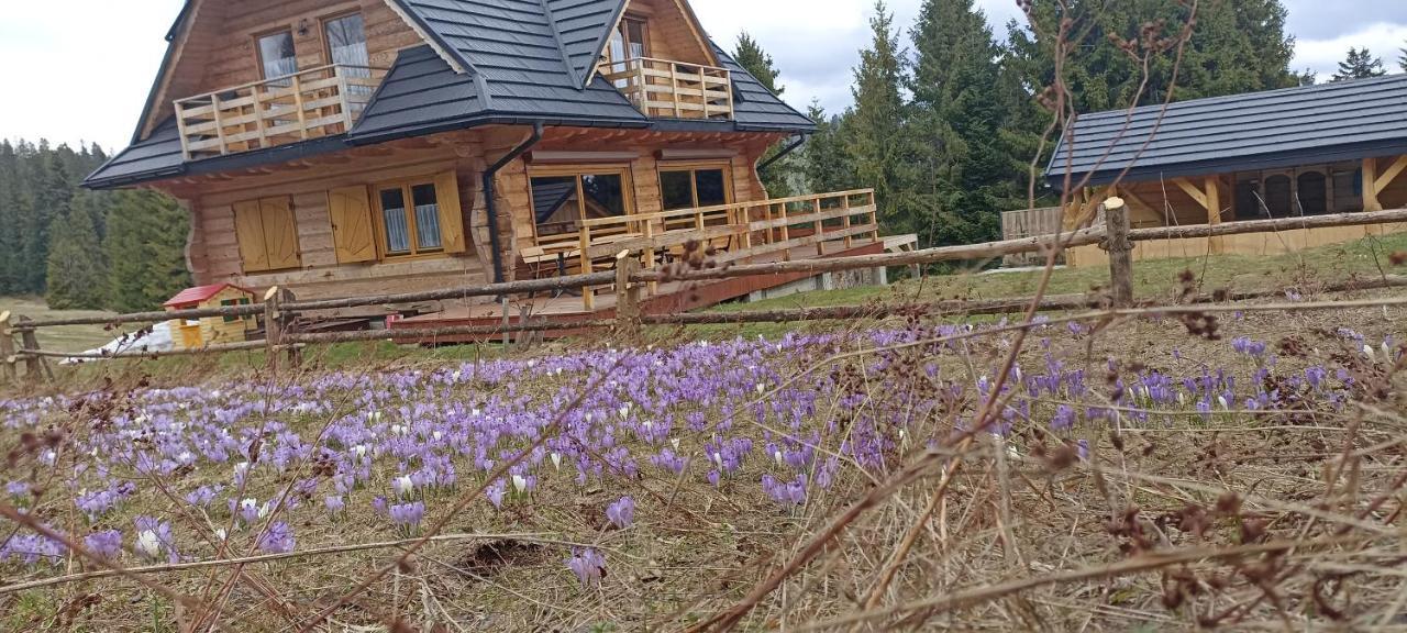 Gosciniec Dziubasowki Villa Nowy Targ Buitenkant foto